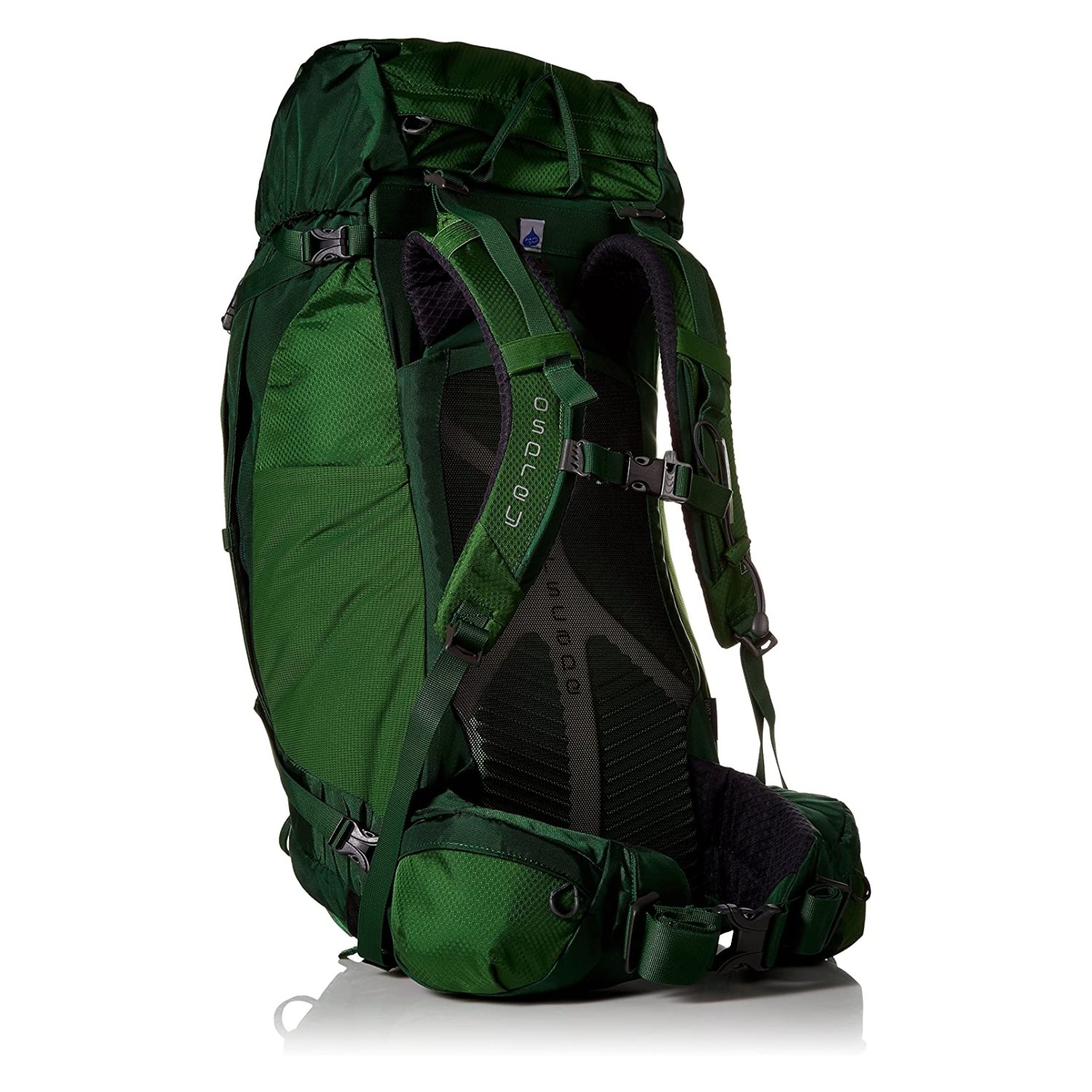 Osprey kestrel 2025 38 jungle green